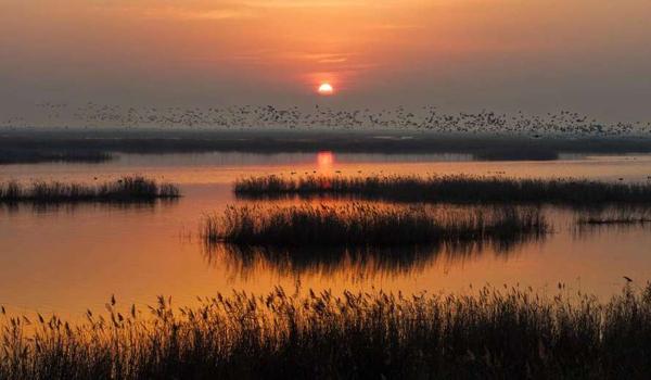 三角洲直装辅助怎么使用（三角洲直装辅助哪个版本最好用？）